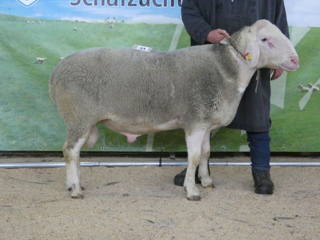 DE010997630505 BY-UU